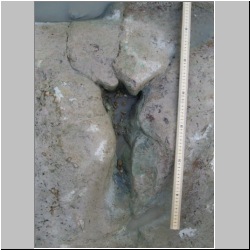 100_0213 (2009-24-07)m.JPG